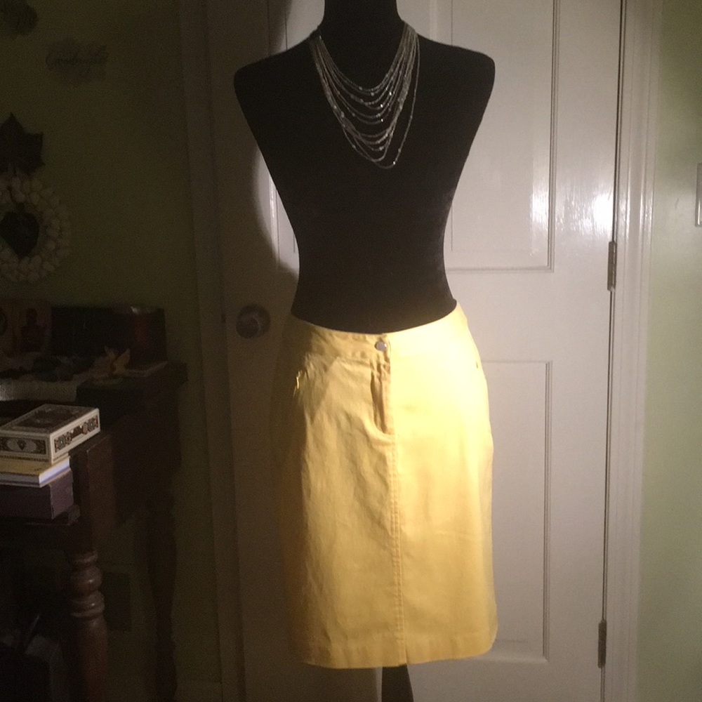 Marshall Fields skirt